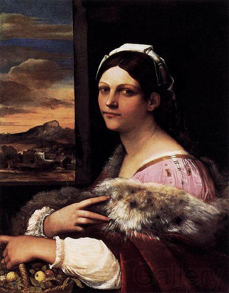 Sebastiano del Piombo A Young Roman Woman Spain oil painting art